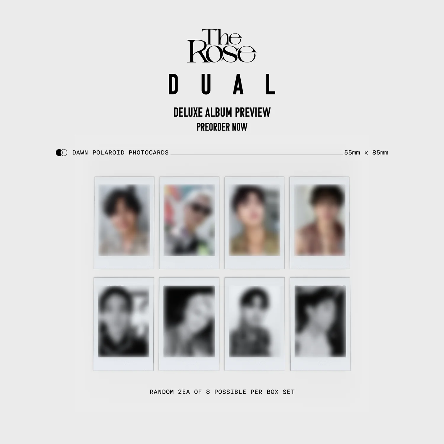 [EU/UK] The Rose 2nd Full Album 'DUAL' Deluxe Box Album (Dawn Ver.) - Image 4