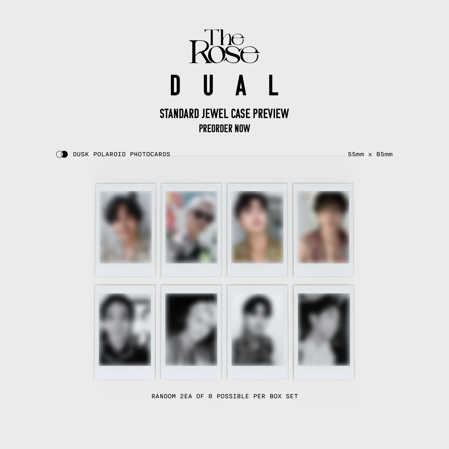 [EU/UK] The Rose 2nd Full Album 'DUAL' Jewel Case Album (Dusk Ver.) - Image 3